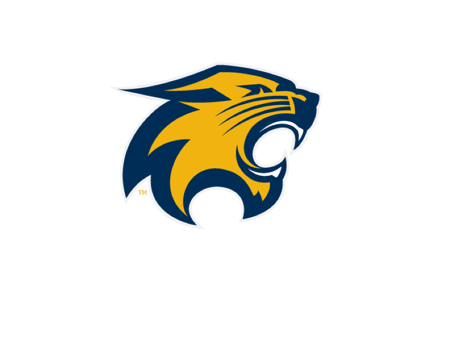 The River Falls Wildcat head, the district's mark